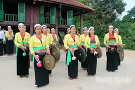 宁平省芒族努力维护传统锣钲