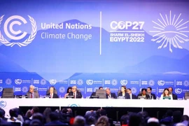 COP27：越南强化能源转型在应对气候变化中的作用