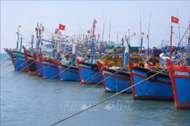 乂安省渔民严格执行打击IUU捕捞规定