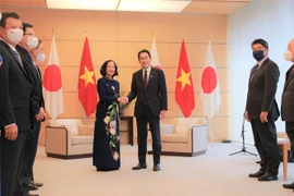 日本首相岸田文雄：越南是日本在地区政策的重要伙伴