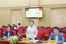 老挝国会代表团访问越南太原省