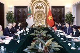 第三次越南—阿尔及利亚外交部副部长级政治磋商在河内召开