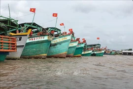 解除IUU“黄牌”警告：越南金瓯省完成渔船巡航监控设备安装工作
