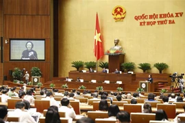 第十五届国会第三次会议：维护家庭和民族的良好传统文化价值