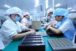 河内市致力为企业营造良好且平等的生产营商环境