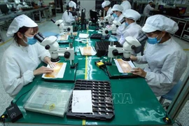越南对匈牙利商品出口前景广阔