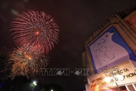河内取消春节燃放烟花的计划