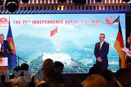 促进越德战略伙伴关系向纵深发展