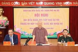 越共中央总书记阮富仲第十五届国会第三次会议前夕在河内接触选民