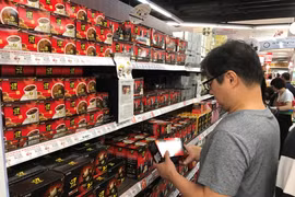 越南加大对北欧市场的出口力度