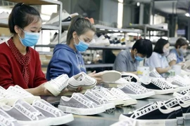 越南鞋类产品出口在全球市场所占份额首次超过10%