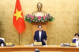 越南政府1月份例行会议就经济和社会复苏与发展计划进行讨论