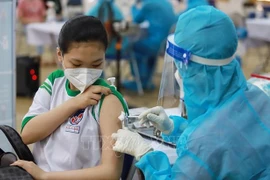 胡志明市：未有根据视新冠病毒为季节性感冒