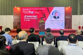 第14届越南国际木业及木工机械展览会在胡志明市开展