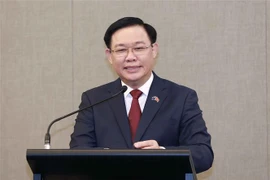 越南国会主席王廷惠出席越南—新西兰经济合作论坛
