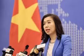 越南外交部发言人黎氏秋姮：越南一贯反对也不接受一切不符合国际法的声索