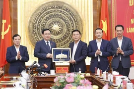 越南国会主席王廷惠在清化省调研