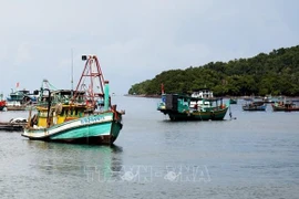 解除IUU“黄牌”：渔业数字化促进可持续发展