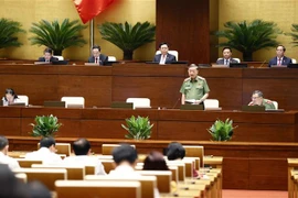 国会常委会第14次会议：公安部部长苏林就新版护照问题作进一步说明
