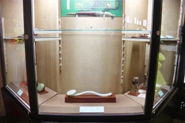 胡志明市历史博物馆举行古玉展
