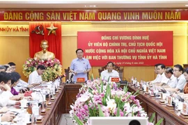 国会主席王廷惠：越南支持可持续投资趋势，坚决与不清洁生产的项目说不