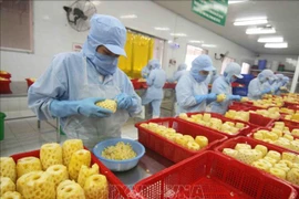 越南蔬果出口企业必须主动扩大出口市场