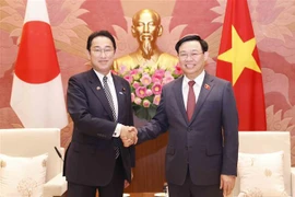 越南国会主席王廷惠会见日本首相岸田文雄