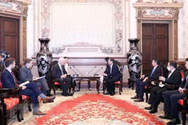 进一步加强胡志明市与英国各领域合作