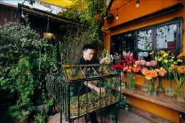 玻璃花柜