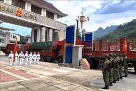 在越中边界线进行联合巡逻和检查活动