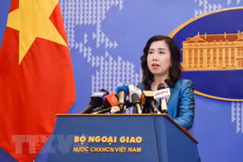 确保在乌克兰越南公民和越南各家企业的人身和财产安全