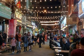 河内市五社玉岛夜市美食街和步行街开业 气氛热闹非凡