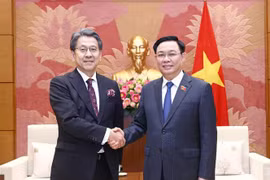 越南国会主席王廷惠会见日本国际合作银行执行董事前田匡史