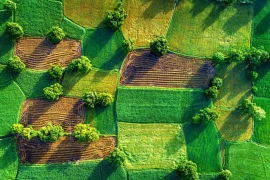 从高空俯瞰越南：青山绿水 美景无边（组图）