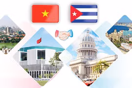 图表新闻：越南与古巴特殊传统关系不断走深走实