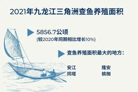 图表新闻：查鱼行业面向2022年出口额达16亿美元的目标