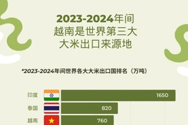 图表新闻：2023-2024年间越南是世界第三大 大米出口来源地