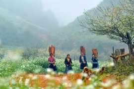 组图：木州——2023年亚洲领先自然旅游目的地