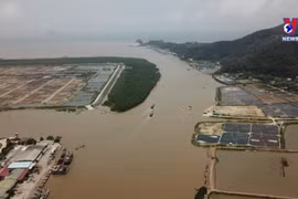 越南水产业应势而行 努力实现既定目标