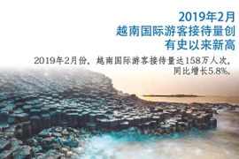 图表新闻：2019年2月越南国际游客接待量创有史以来新高