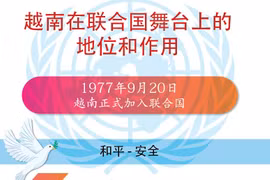 图表新闻：越南在联合国舞台上的地位和作用
