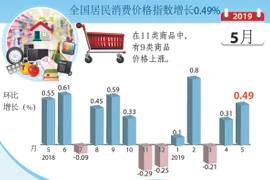 图表新闻：5月份全国居民消费价格指数增长0.49%