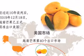 图表新闻：越南芒果获准出口美国