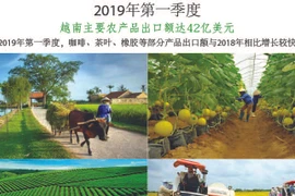 图表新闻：2019年第一季度越南主要农产品出口额达42亿美元