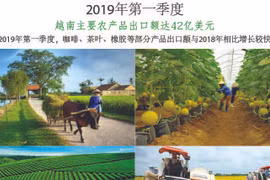 图表新闻：2019年第一季度越南主要农产品出口额达42亿美元