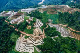 组图： 河江省梯田进入灌水期 美到窒息