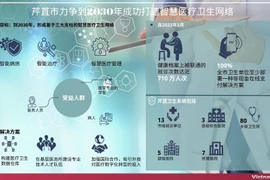 图表新闻：芹苴市力争到2030年成功打造智慧医疗卫生网络