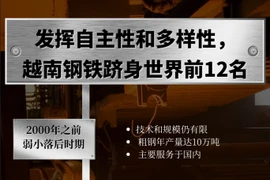 越南钢铁融入国际市场之旅