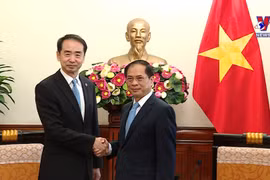越南政府副总理裴青山会见中国驻越南大使何炜
