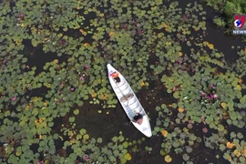 推动农业生产和生态旅游融合发展